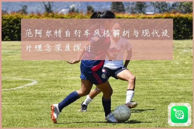 范阿尔特自行车风格解析与现代设计理念深度探讨
